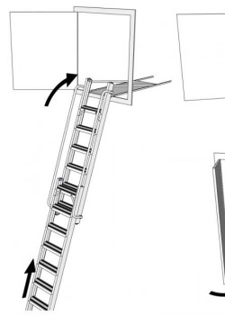 VCL Aluminium Carriage Ladder